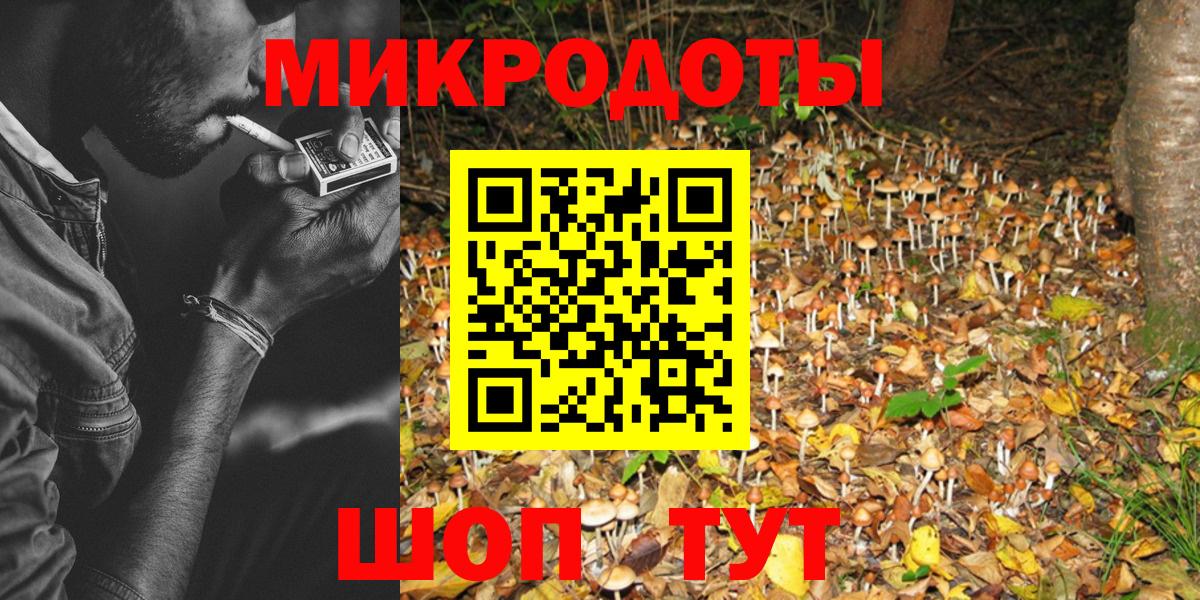 Галлюциногенные грибы Psilocybe Новый Уренгой