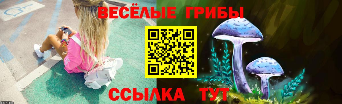 Псилоцибиновые грибы Psilocybine cubensis  Вход с VPN  Новый Уренгой 